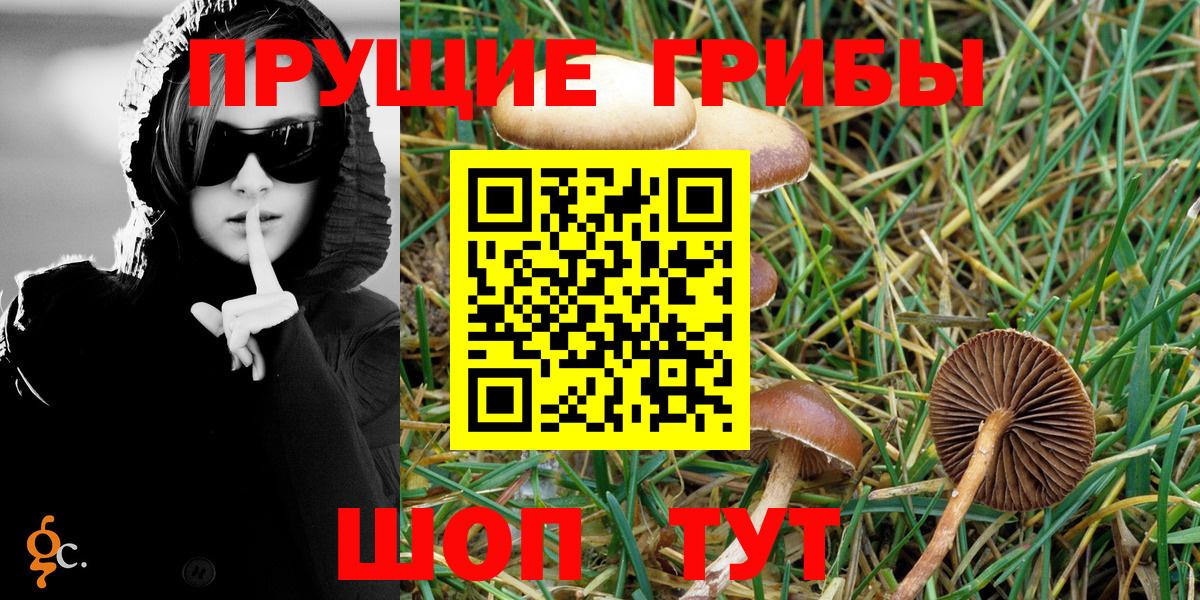 Псилоцибиновые грибы MAGIC MUSHROOMS Черногорск